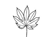 Palm Leaves svg, Botanical png, a Decorative Illustration by Watercolor_Vector Graphic (Thumbnail 25 of 25)