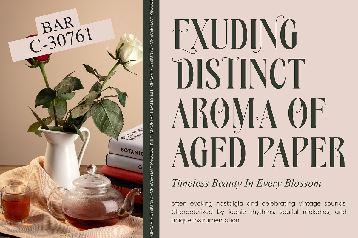 Royale Ambers Editorial Serif, a Serif Font by timelesstype.co (Photo 4 of 10)