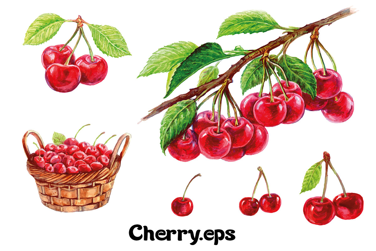 Fruits and berries collection_part 1, an Illustration by ZotovShop (Photo 7 of 20)