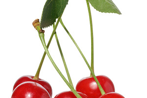 Red cherries with green stems and small green leaves, still atta, a Food & Drink Photo by ndanko