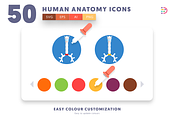 50 Human Anatomy Icons, an Icon by Dighital (Thumbnail 8 of 10)
