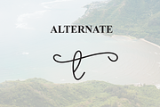 Southine | Script Font, a Handwritten Font by Scratchones (Thumbnail 8 of 9)