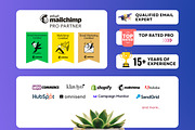 Mailchimp editable email template, an Email Template by Nivindesign (Thumbnail 8 of 12)