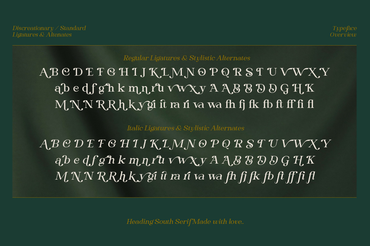 Heading South | Retro serif, a Serif Font by ClevUs (Photo 12 of 14)