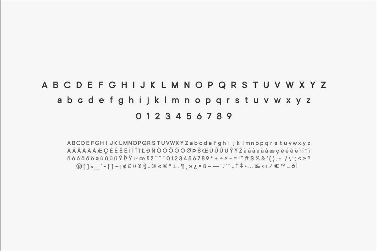 CP ONE Sans Serif Font Family preview 3