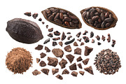 Cacao parts top-down, an Object Graphic by Hortimages (Thumbnail 1 of 2)