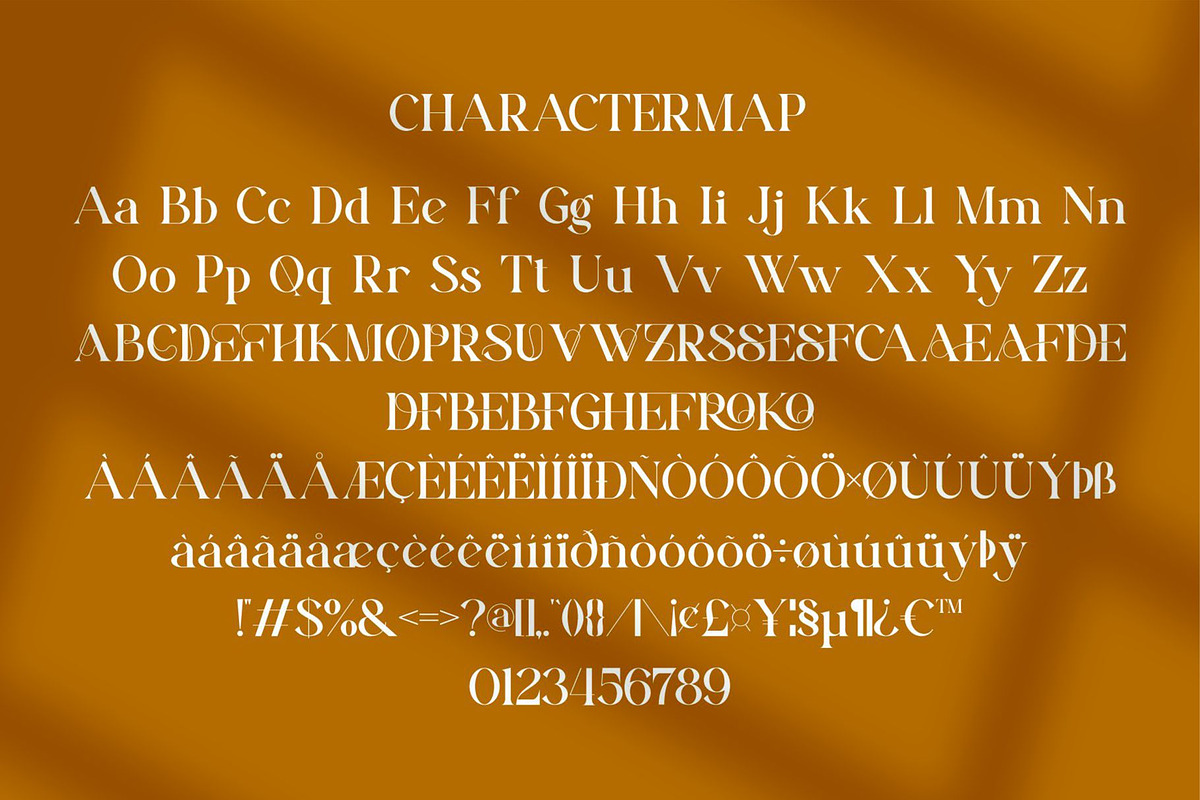 Viroze || Unique Serif Font, a Serif Font by Ermedia Studio (Photo 3 of 10)