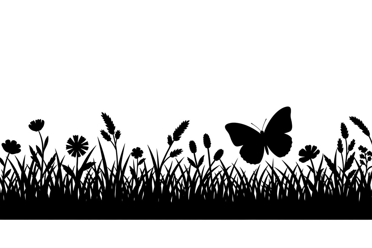Floral Grass Border Silhouette Bundl, an Illustration by Amazin_art (Photo 50 of 51)