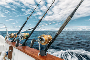 Fishing rods containing angler, beautiful, and big