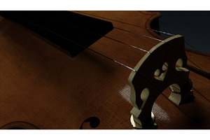 Stringed pod musical instrument, an Illustration by Media Whale Stock