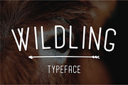Wildling Typeface, a Sans Serif Font by Surplus Type Co (Thumbnail 1 of 4)