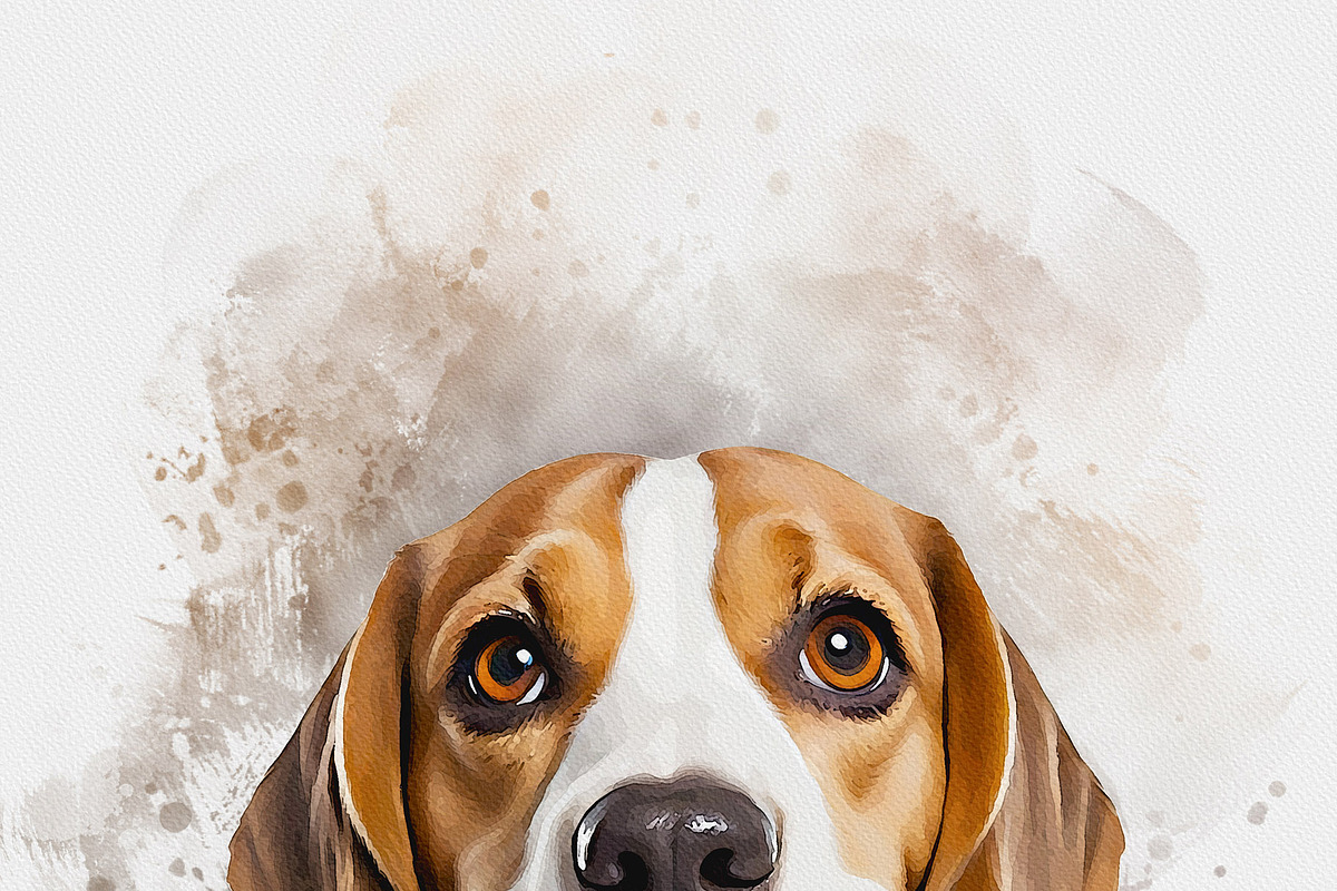 Custom Watercolor Pet Template, an Action Add-On by MRI STUDIO (Photo 19 of 23)