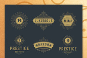 10 Vintage Ornament Invitations, an Invitation Template by Vasya Kobelev (Thumbnail 11 of 11)