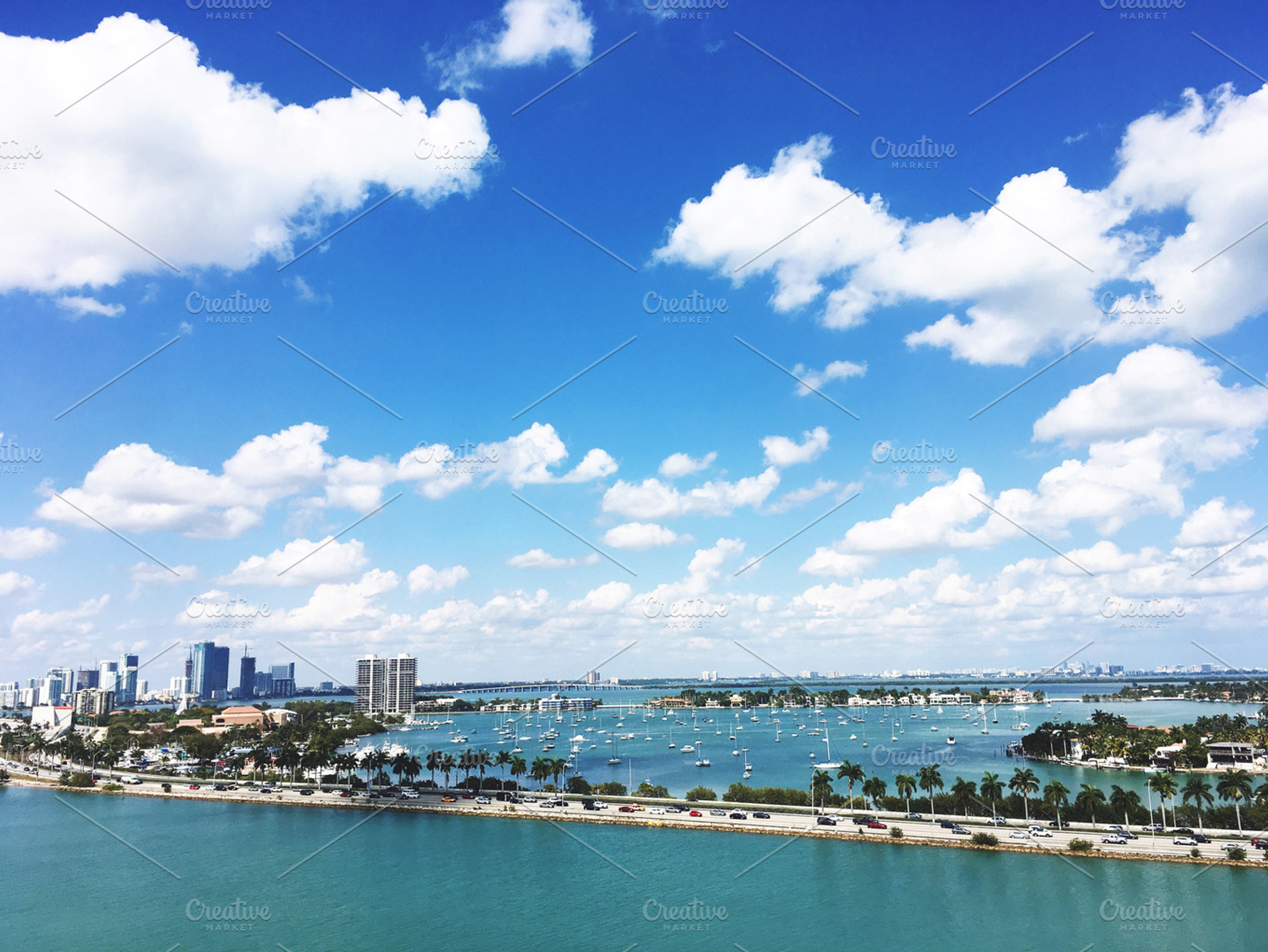 Welcome to Miami, a Nature Photo by Traveler's Paradise