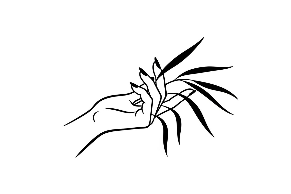 Hand Plant Growth Bundle, an Illustration by yasushie (Photo 10 of 31)