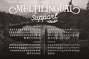 Rofina, a Serif Font by Burntilldead (Thumbnail 10 of 11)