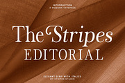 The Stripes Editorial + Italics, a Serif Font by Stripes Studio (Thumbnail 1 of 23)