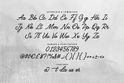 Laustera Script Font, a Script Font by Maulana Creative (Thumbnail 5 of 7)