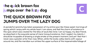 Ambulatoria B, a Sans Serif Font by Pepper Type (Thumbnail 6 of 15)