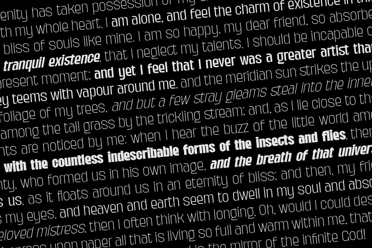 Kaligane, a Sans Serif Font by ArimaType (Photo 4 of 10)