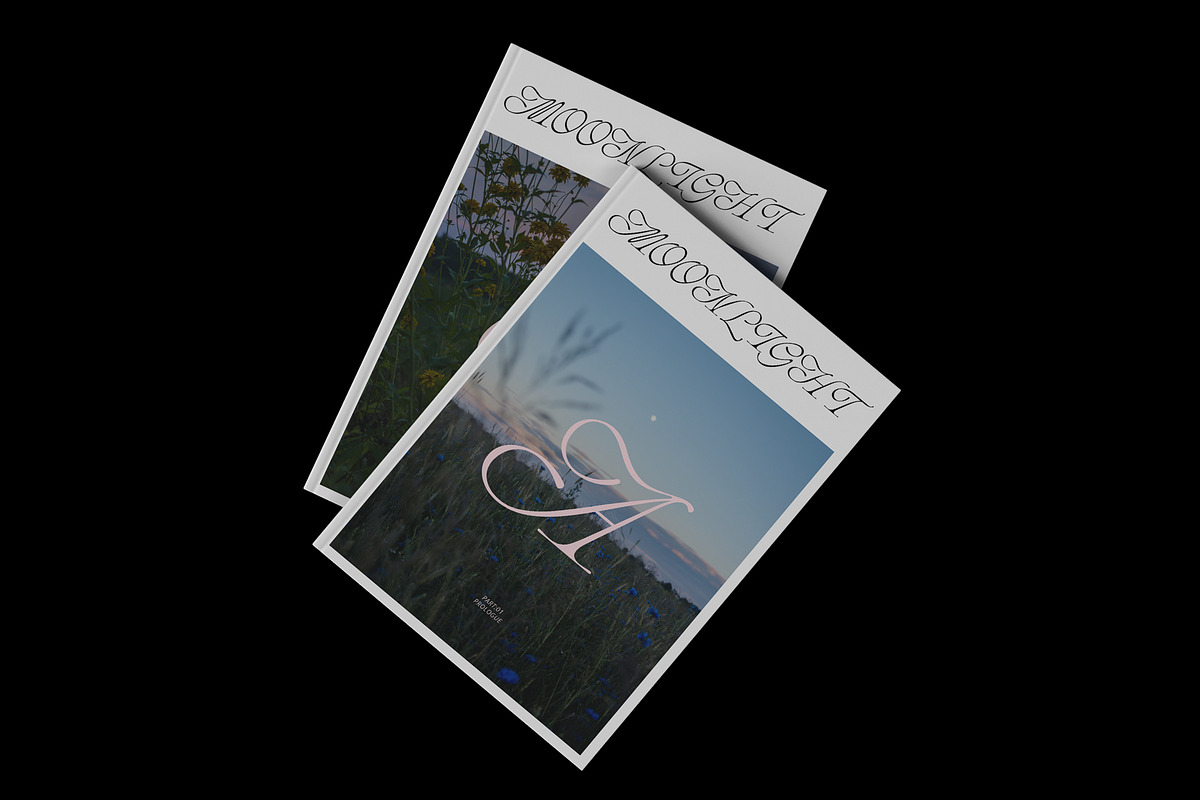 ED Phoebe, a Serif Font by Emyself Design (Photo 10 of 12)