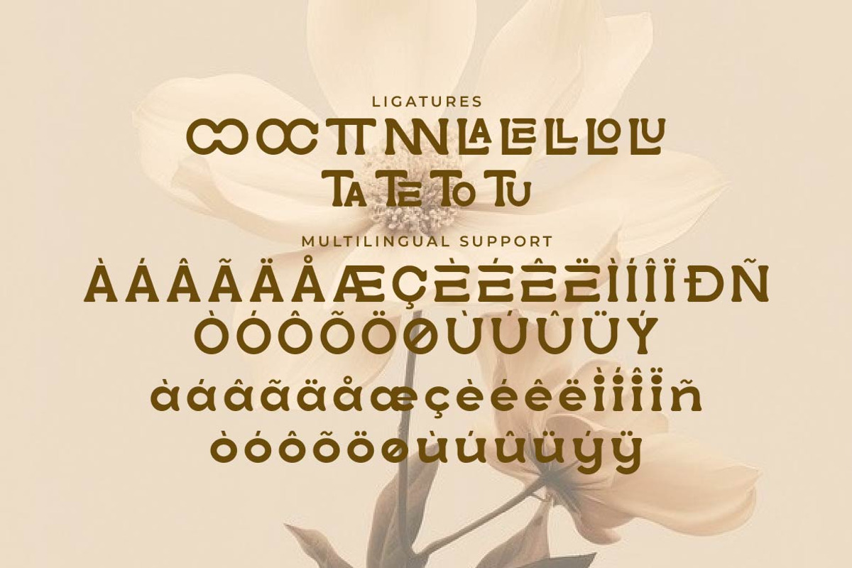Lootta – Bold Rounded Display Font, a Serif Font by Artiveko (Photo 7 of 8)