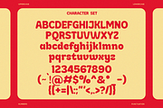 Biscova - Groovy Retro Display Font, a Serif Font by RagamKata (Thumbnail 9 of 10)