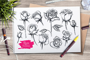 Hand Drawn Roses. Vintage set.