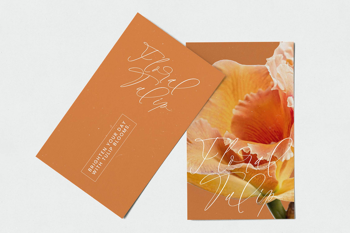 Halista Rihana Stylish Beauty Script, a Script Font by stylishtype.co (Photo 3 of 20)
