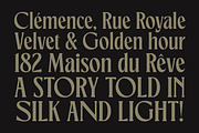 TNSC Gemino - Sans & Serif Typeface, a Serif Font by The Native Saint Club (Thumbnail 3 of 14)