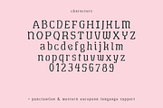 Abomination Halloween Font, a Serif Font by Beck McCormick (Thumbnail 10 of 10)