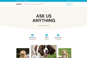 Pawfect - Wordpress Kadence Theme