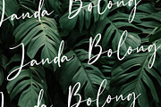Rustgia - Handwritten Script, a Script Font by Nirmana Visual (Thumbnail 7 of 8)