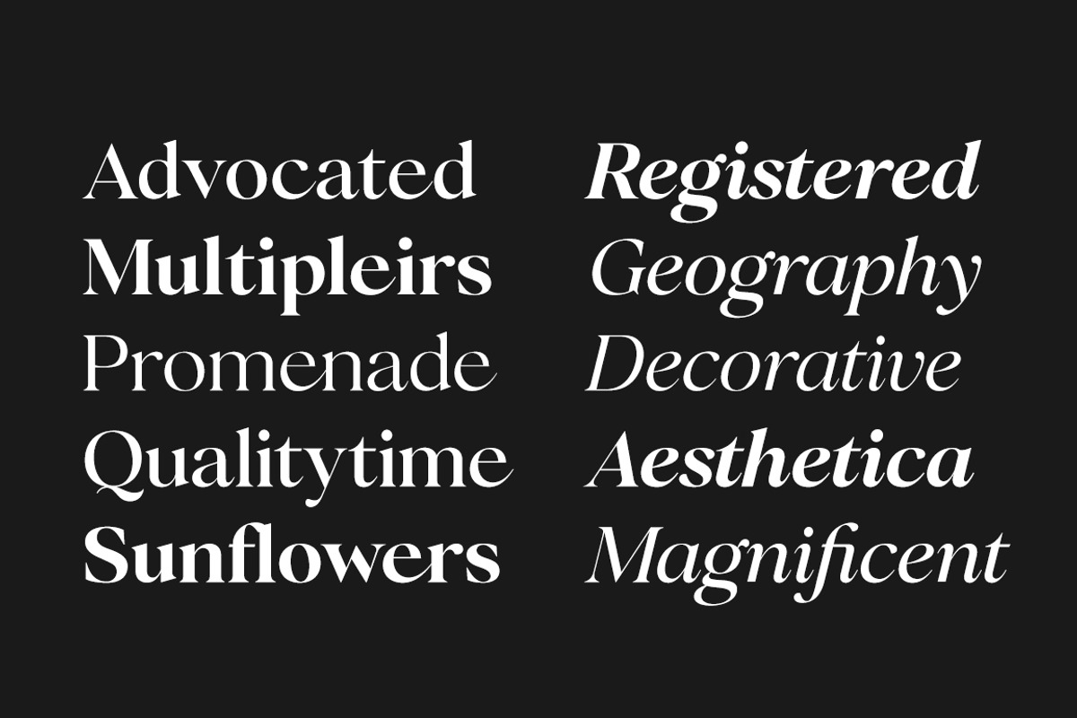 Perfect Challenge Serif Family, a Serif Font by Mulkan Nazir (Photo 4 of 22)