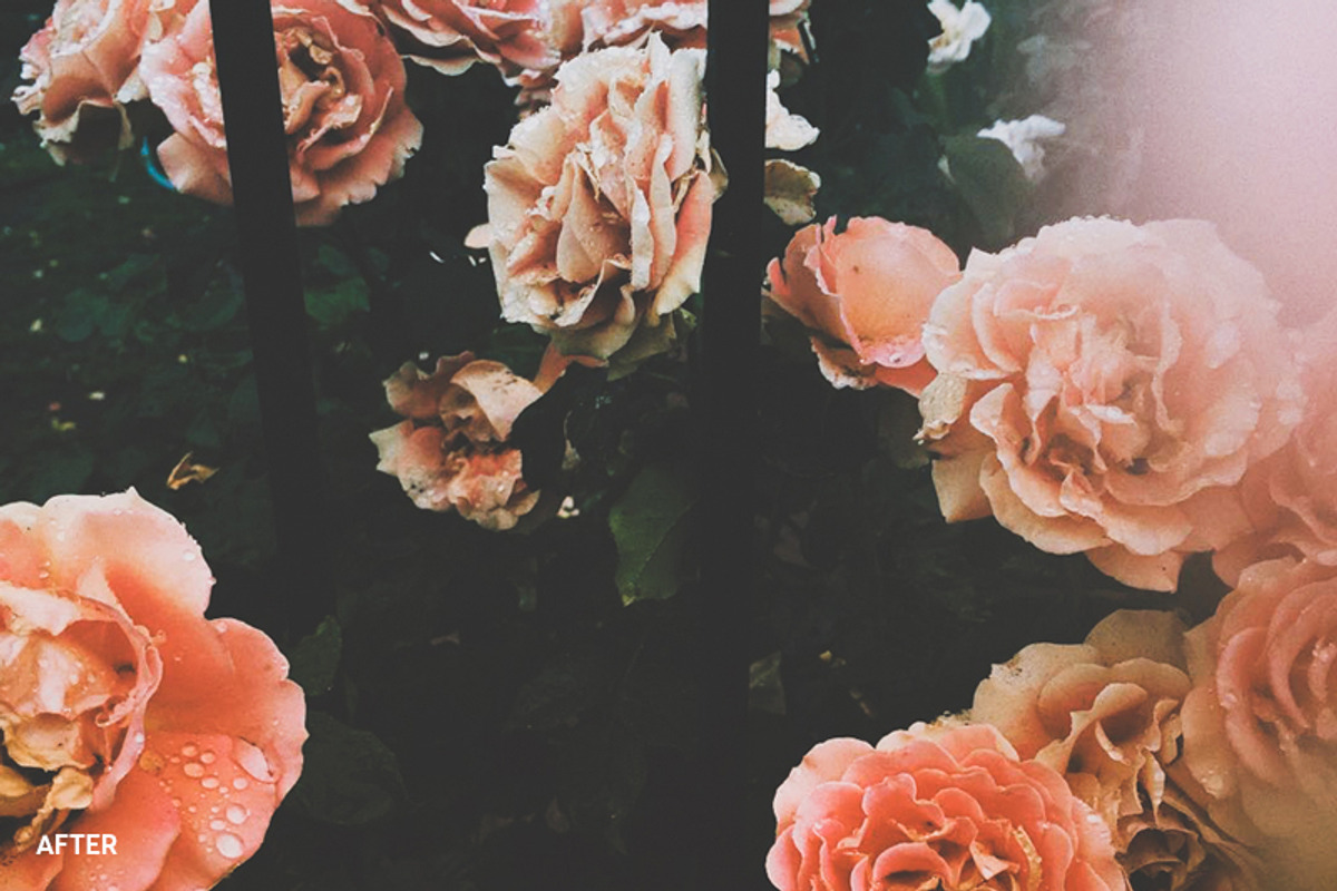 30 Instagram Filters ACR & ATN, an Action Add-On by ShutterPro (Photo 5 of 76)