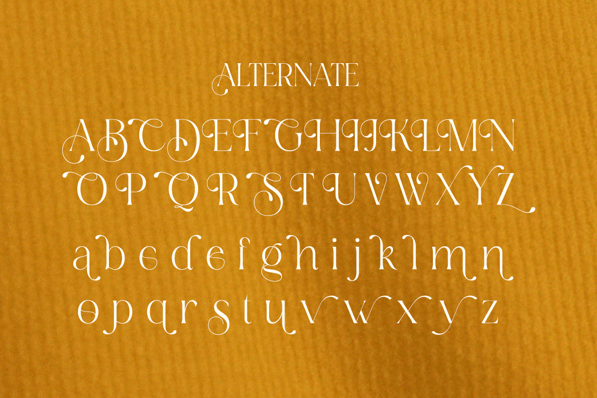 Renea - Modern Minimal Elegant Serif, a Serif Font by Qweera Studio (Photo 10 of 12)