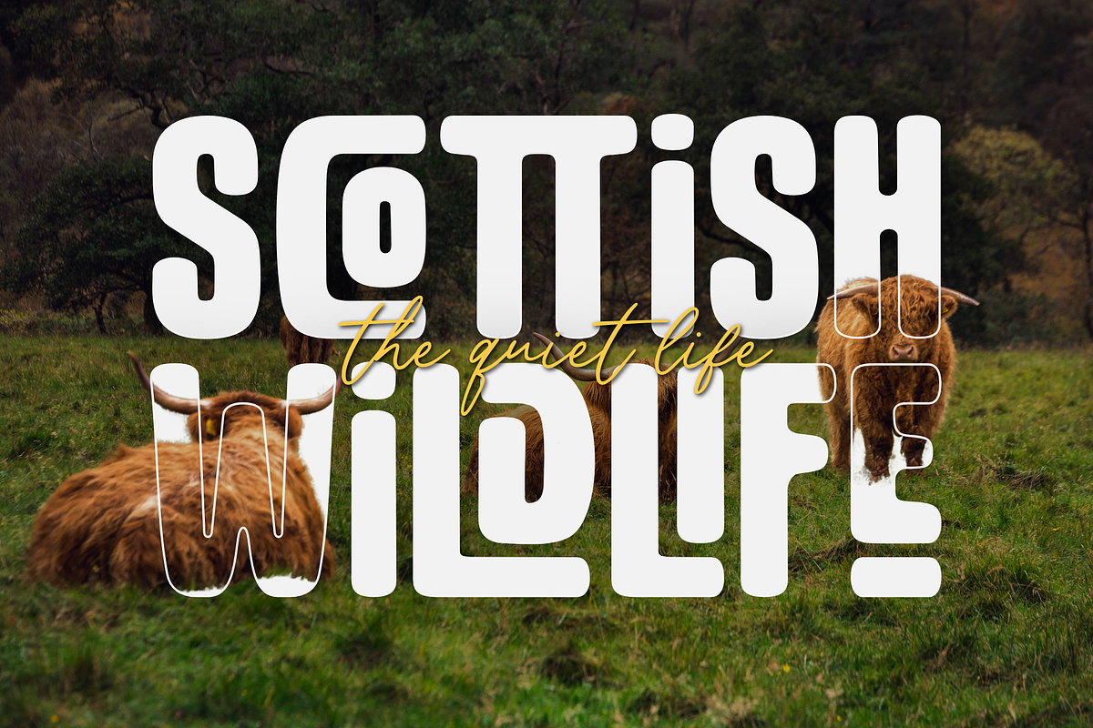 Batchan - Display Font, a Font by Sronstudio (Photo 5 of 12)