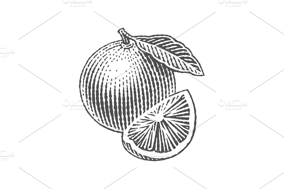 Strawberry and Orange, a Food Illustration by Irina Trusova (Photo 3 of 5)