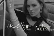 Quiet Luxury - Modern Serif & Script, a Script Font by AndrewPixelType (Thumbnail 7 of 10)