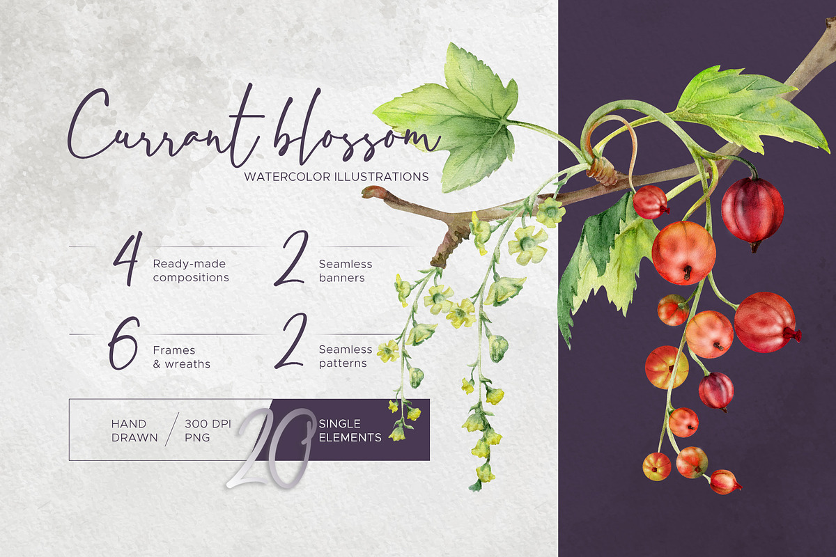 Currant blossom, a Decorative Illustration by MsFlaffy (Photo 1 of 9)