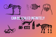 160 Paleontology Illustrations, an Animal Illustration by TheBlackPixelCo (Thumbnail 4 of 8)