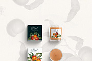 Vintage Peach Graphic Collection #01, a Decorative Illustration by Olga Begak Art & Design (Thumbnail 6 of 9)