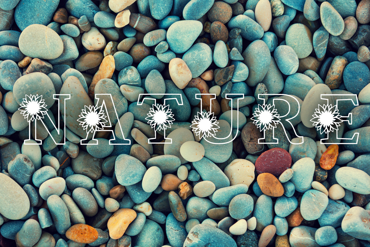 Sunflower Bright, a Font by Actual Pixel (Photo 3 of 7)