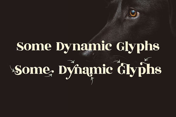 Speakeasy | A Classy Serif preview 7