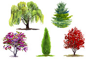 Set of 12 watercolor trees, an Illustration by Salvadorova (Thumbnail 2 of 3)