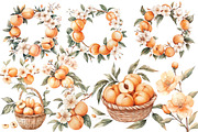 Peach Watercolor Clipart, an Illustration by Designworld (Thumbnail 2 of 5)