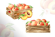 Honey Peaches. Original Watercolor, a Food Illustration by Daria Ustiugova (Thumbnail 16 of 21)