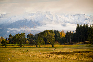 Mountain Dawn, a Nature Photo by THP Creative