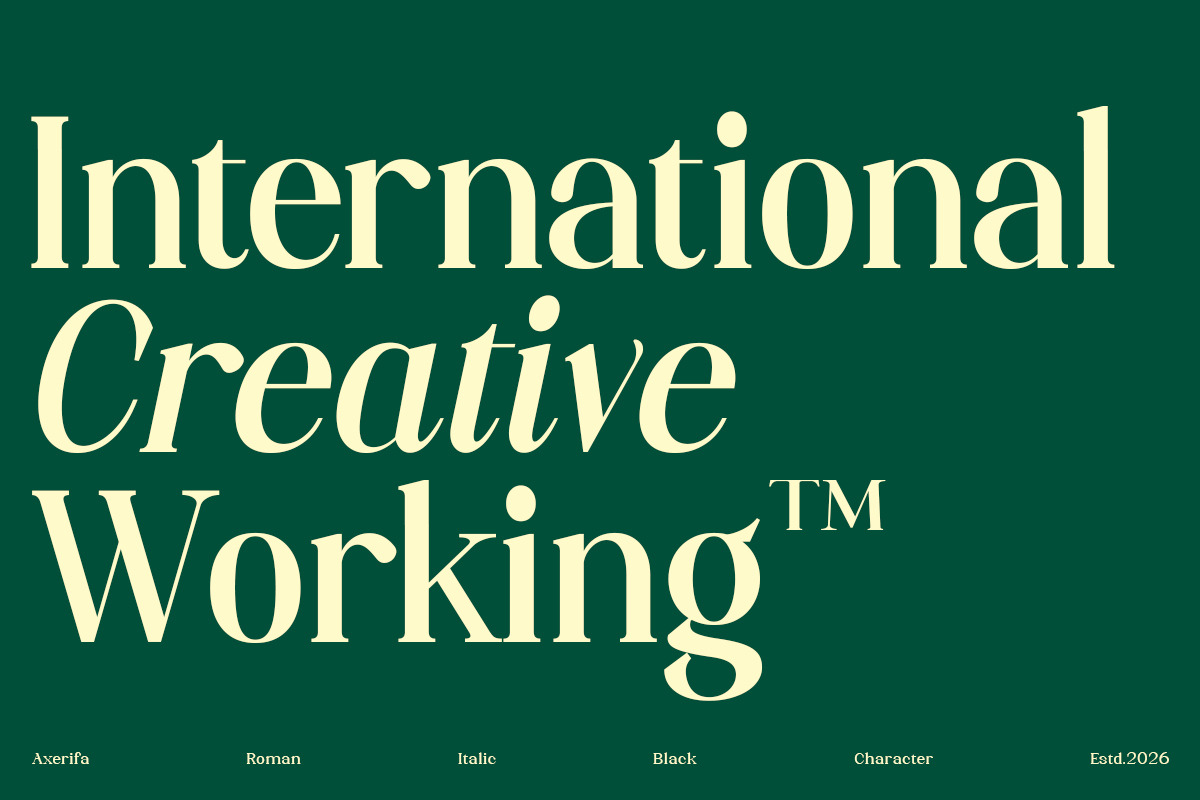 Axerifa Variable, a Serif Font by Slex Studio (Photo 3 of 12)