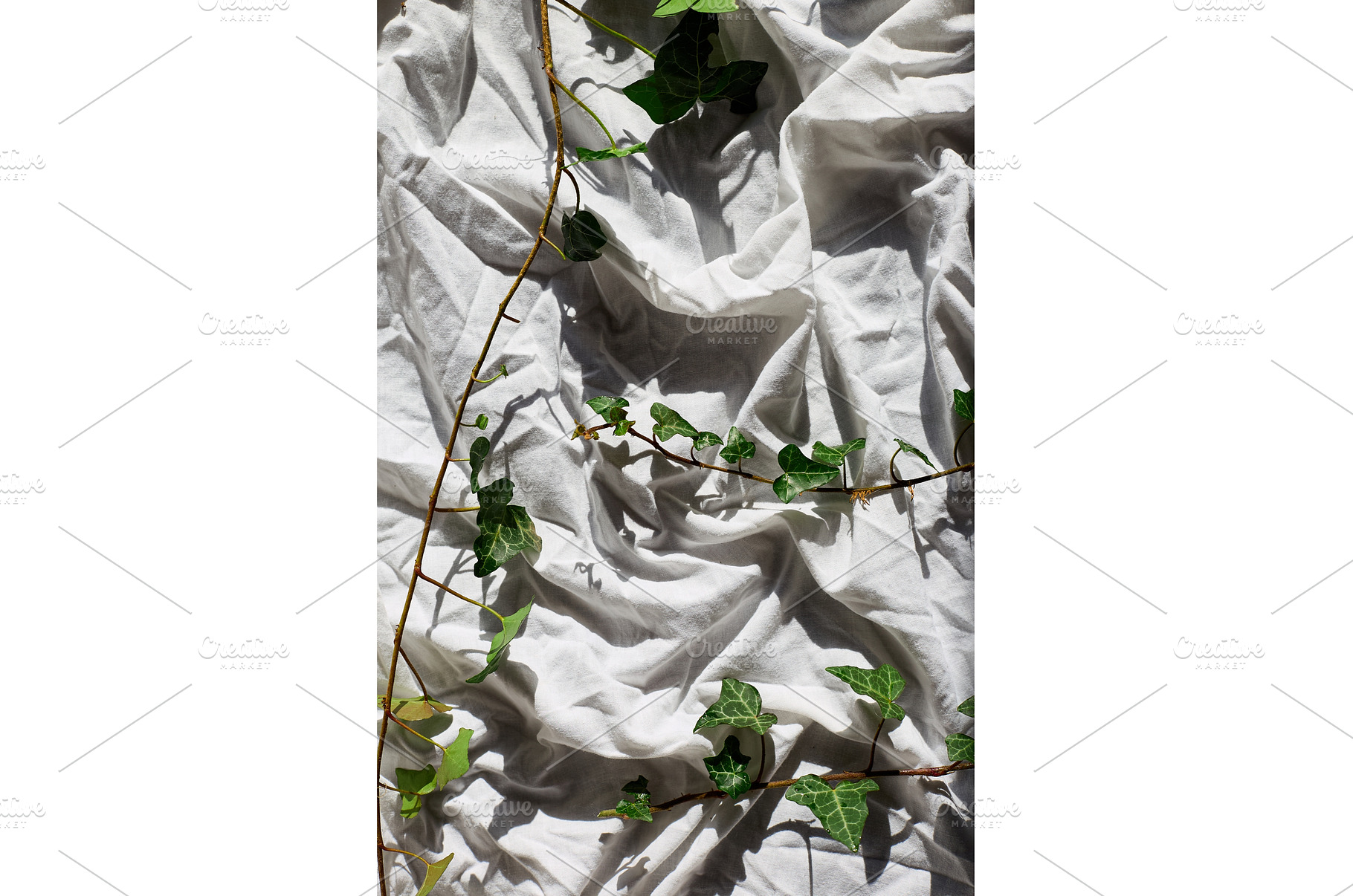 Ivy branches on crumpled white, an Arts & Entertainment Photo by IlliaBondarPhotography